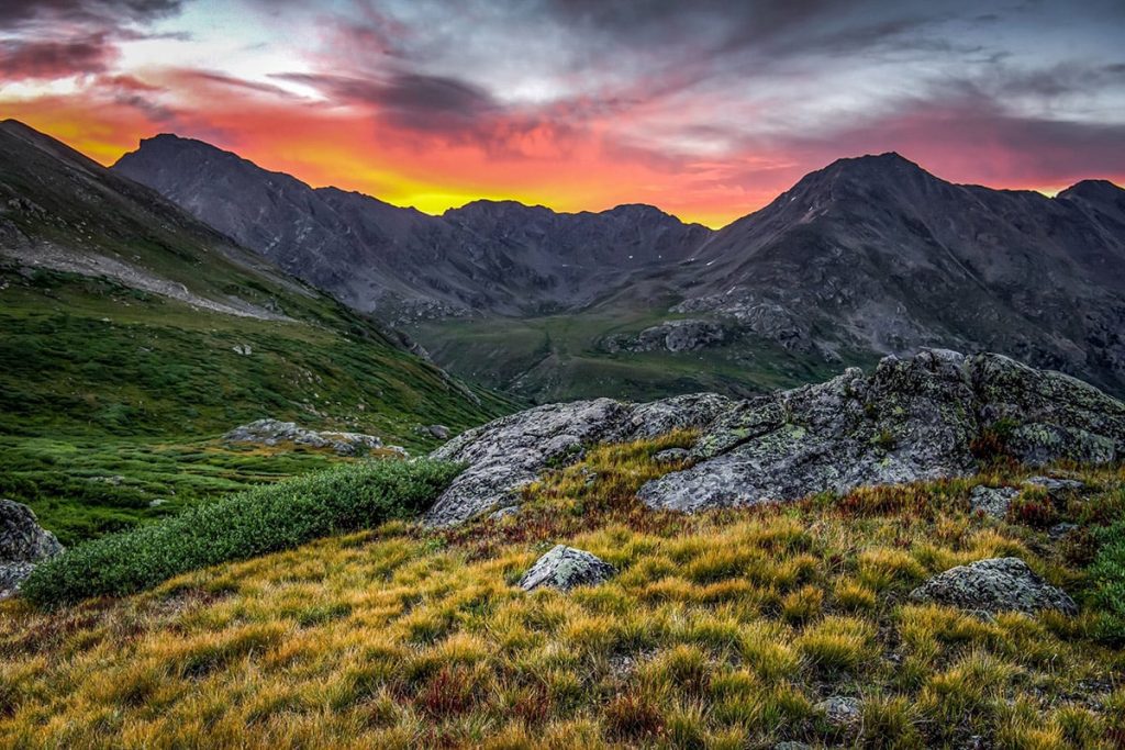 Artist Turns Beauty of Seasonal Woodlands into Colorful Ceramic Vases and Bowls